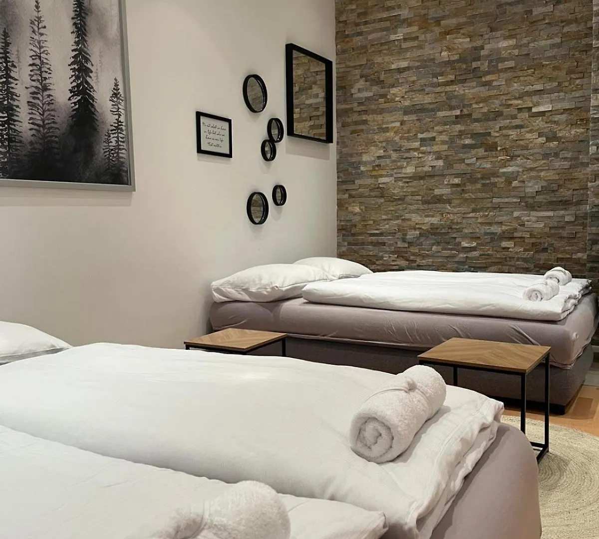 Apartment Luxury Cityapartment 5 Vienna Austria
