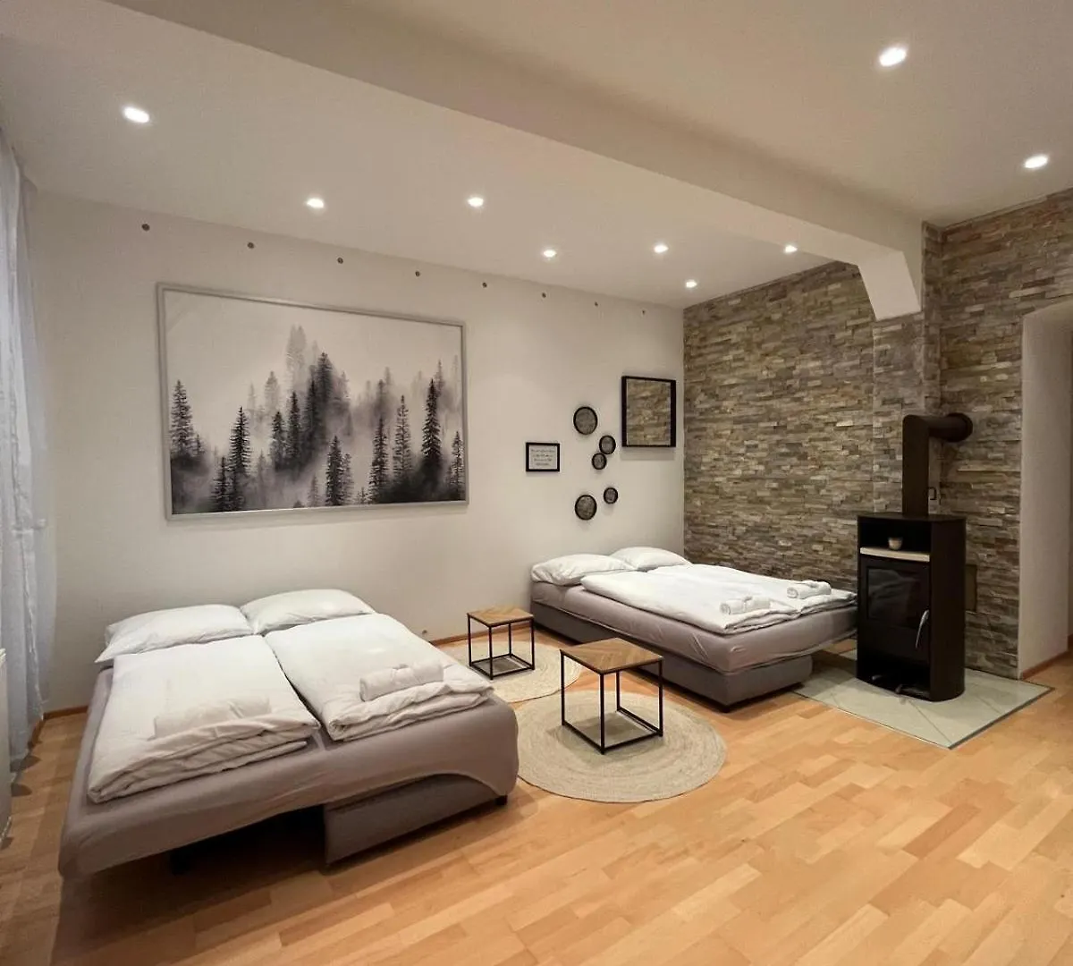 Luxury Cityapartment 5 Vienna Austria